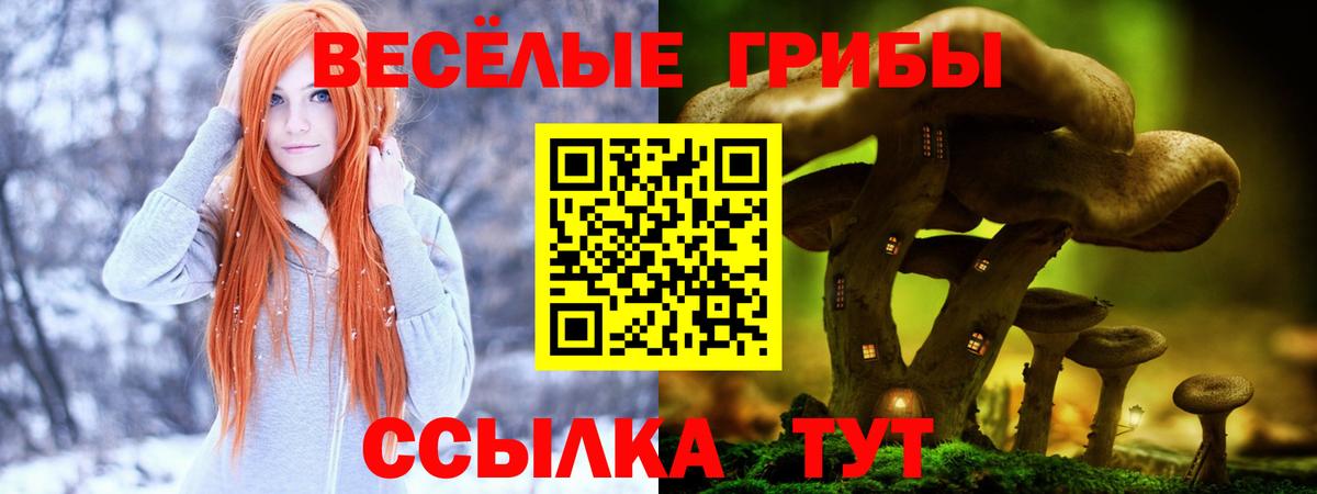 Подольск  купить наркотик  Вход с VPN  Галлюциногенные грибы MAGIC MUSHROOMS 